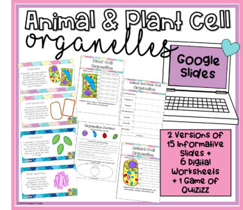 Preview of Animal & Plant Cell Organelles- Digital Worksheets (Google Slides)