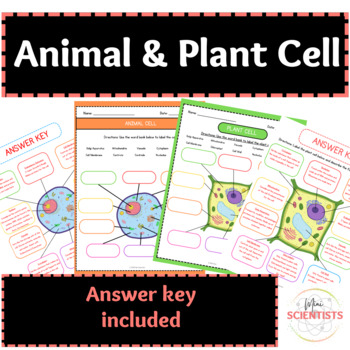 Animal & Plant Cells by Mini Scientists | TPT