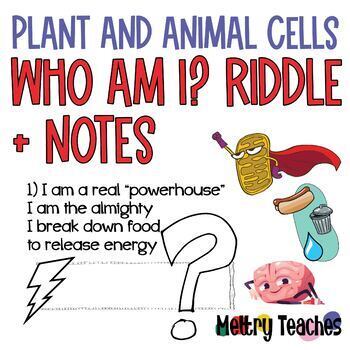 Animal & Plant Cells | Summary Notes + Who Am I? (Riddle Review Sheet)