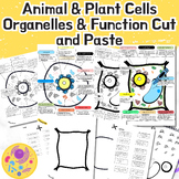 plant vs animal cell Organelles & Function Cut and Paste-C