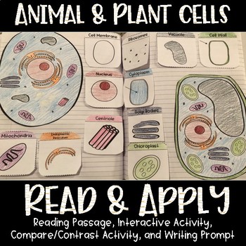 Preview of Animal and Plant Cells + Organelles Read and Apply + Quiz {NGSS MS-LS1-2}