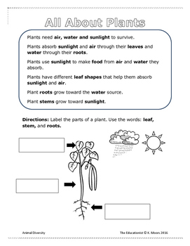 first grade science animals plants student booklet by