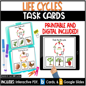 Life Cycle Math Task Cards - Classful