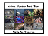 Animal Poetry Part Two