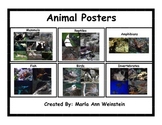 Animal Posters