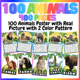 Animal Posters | Decor with Real Photo and Animal Picture 