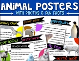 Animal Posters POLAR REGIONS Science for Kindergarten and 