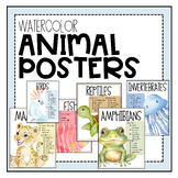 Animal Posters - Watercolor Design