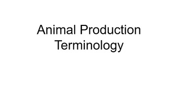Preview of Animal Production Terminology Presentation