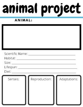 Graphic Organizer For Animal Project Teaching Resources | TPT