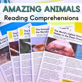 Preview of Animal Reading Comprehensions for Muslim Children