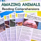 Animal Reading Comprehensions for Muslim Children