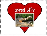 Animal Relationships (Animal BFF's)
