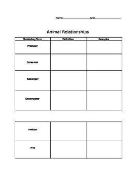 Preview of Freebie! Animal Relationships Handout