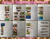 Animal Relationships Interactive Notebook Sorts