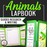 Animal Reports | A Lapbook & Animal Research Project | Informational Writing