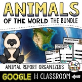 Animal Report Bundle: Animal Research and Informational Wr