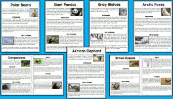 Preview of Animal Report - Informational Research Articles