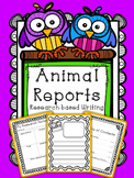 Informative Writing - Animal Report