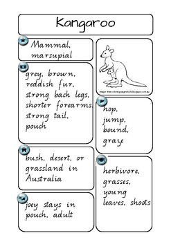 Animal Report Notes by The Learning Curve | Teachers Pay Teachers