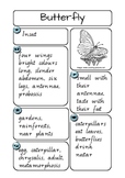 Animal Report Notes