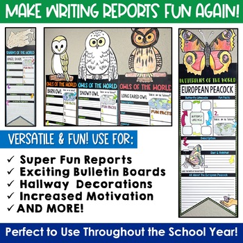 Animal Reports using Zoo Pals by Hefty  Animal report, Reading projects,  School fun