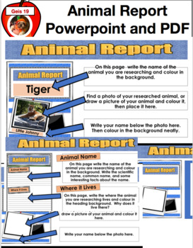 Preview of Animal Report Powerpoint Presentation