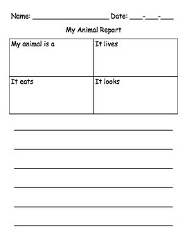 Preview of Animal Report Template