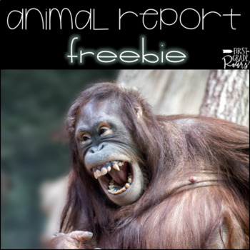 Preview of Animal Report Template Freebie