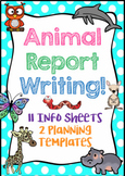 Animal Report Writing (Planning Templates & Info Sheets)