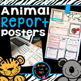 Animal Reports