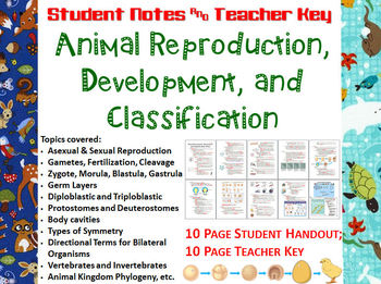 Preview of Animal Reproduction, Development, Classification Notes Handout & Teacher Key