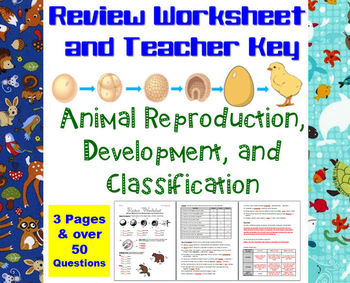 Preview of Animal Reproduction, Development, and Classification Review Worksheet and Key