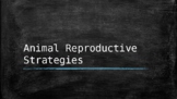 Animal Reproductive Strategies PowerPoint with Audio
