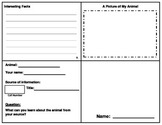 Animal Research Booklet Template - primary grades