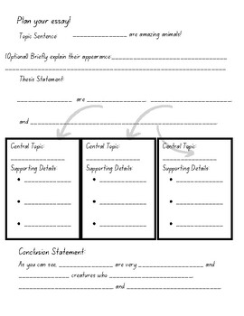 animal research questions for 3rd grade