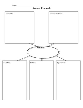 animal research paper graphic organizer
