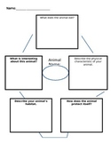 Animal Research Graphic Organizer