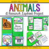 Animal Research Report Lapbook Project - 3rd, 4th, 5th gra