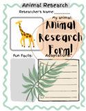 Animal Research Outline Form | Animal Fact Graphic Organizer