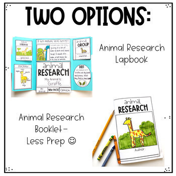 animal behaviour research project ideas