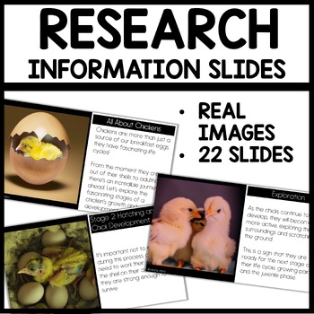 research paper on chicken