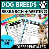 Animal Research Graphic Organizer and Informational Writin