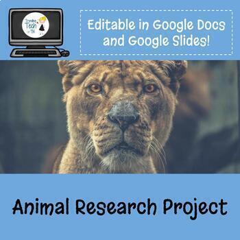 Preview of Animal Research Project & Flyer Design - Online Distance Learning