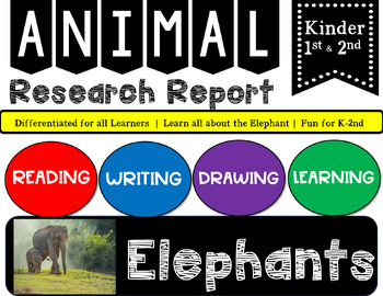 Information Report Elephants Teaching Resources | TPT