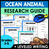 Animal Research Report | Ocean Animals and Marine Biology 