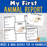 Animal Research Project Report with Graphic Organizer Editable