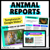 Animal Research Project Templates | End of the Year Resear