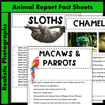 Animal Research Project | Tropical Rainforest Report by TeacherWriter