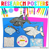 Animal Research Project Whales Dolphins Sharks Information